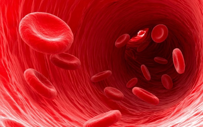 7 home remedies to strengthen blood vessels