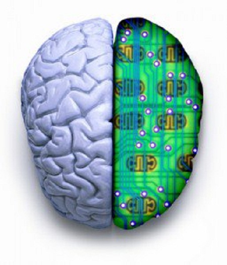 The Difference Between Piracetam and Noopept