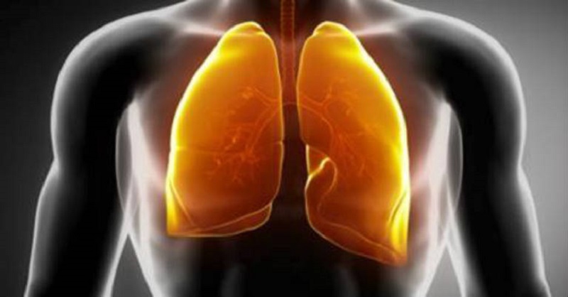Cleaning the respiratory system with oregano oil