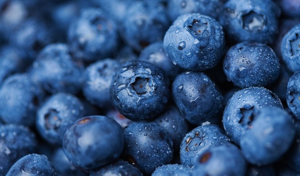 What is Blueberries Nutrition
